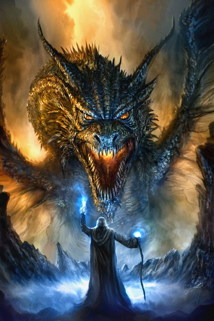 A dragon facing a wizard